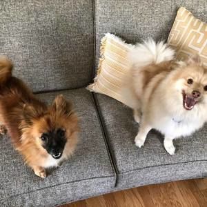 Meet your Posher, Jeremy